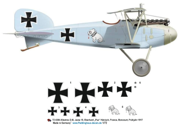 Peddinghaus-Decals 1/72 4384 Albatros D.III, Jasta 15, Eberhard „Puz“ Hänsch, France, Boncourt, Frühjahr 1917
