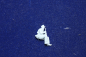 Preview: Peddinghaus 3 D Druck 1/48 48F033 Soldat Afrika Corps sitting with rifle in both hands