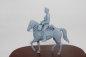 Preview: Peddinghaus 3 D Druck 1/35 35W039 Waffen SS Offizier zu Pferde