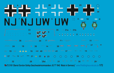 Peddinghaus 1/32 3161 FW 190 G-8 Norbert Graziadei JG 300 and 4 different markings